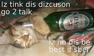 Kitteh drunk on non-alcoholic beer.