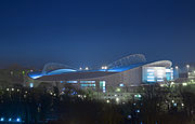 Стадион Фалмер - night.jpg