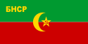 布哈拉人民苏维埃共和国國旗 上：1920－1924 下：1924－1925