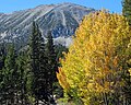 The north end of Mt. Starr seen from Bear Creek Lake area