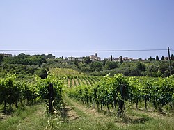 Veduta di Castelnuovo d'Elsa