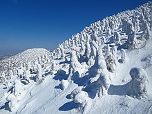 日本三大樹氷の一つ、八甲田の樹氷（青森県青森市）