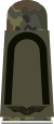 LA OS5 21a Fahnenjunker.svg