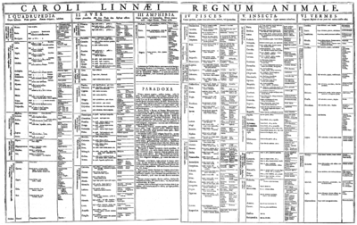 The 1735 classification of animals Linnaeus - Regnum Animale (1735).png