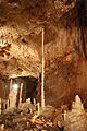 Colonna stalagmitica
