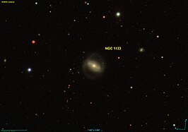 NGC 1133