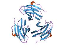 PDB 1pm4 EBI.jpg