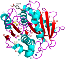 ПЭТаза I. sakaiensis в комплексе с HEMT, аналогом ПЭТ (PDB 5XH3).