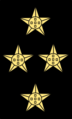 Almirante da Armada (ombro)