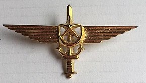 Pakistan Navy Special Service Group Badge.jpg