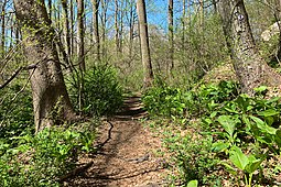 The trail by the Black River, near the Elizabeth D. Kay Environmental Center