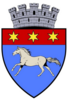 Coat of arms of Râmnicu Sărat