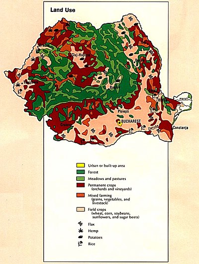 Salariul Mediu In Romania 2013