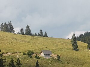 Blick auf die Schanzwiese, die namensgebenden Geländestrukturen ziehen sich vom einzelnen Baum rechts hangaufwärts.