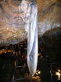 Elefantenohr in der Sophienhöhle