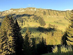 Stallenalm unterhalb der Schreckenspitze von der Hinterschleimsalm aus gesehen