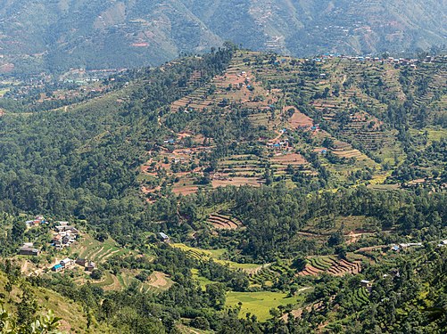 Terrace Farming in Nepal in Rakathum VDC