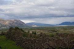 Исландские северные прибрежные леса и альпийская тундра[en]