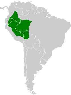 Distribución geográfica del picoplano cabeciverde.