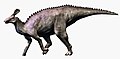 Tsintaosaurus