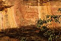 art pariétal autochtone montrant un thylacine (espèce éteinte depuis le début du XXe siècle), site d'Ubirr (en), Australie ;