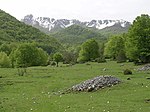 Valle Fondillo