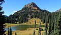 Yakima Peak and Tipsoo Lake