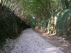 Portion du sentier émeraude.