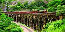 13 Arch bridge Kazhuthurutty Kerala.jpg