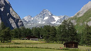 Blick von der Jörgenalm im Ködnitztal zum Großglockner.