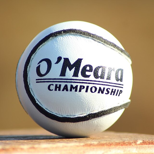 Image of a hurling sliotar