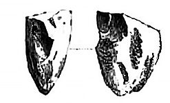 Aboriginesofvictoria01-p370-fig191