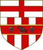 Arms of the house of Giorgi (3).svg
