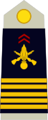 Coronel