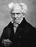 Arthur Schopenhauer by J Schäfer, 1859b.jpg (Дагеротипный портрет, 1859 год)