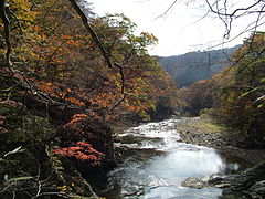 浅布渓谷 紅葉の様子