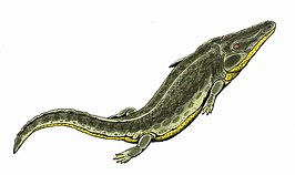 Benthosuchus