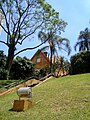 Arborização da Biblioteca Narbal Fontes