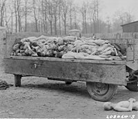 200px-Buchenwald_corpse_trailer_ww2-181.jpg