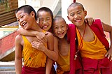 K42. Buddhist monks in training