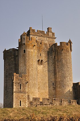 Image illustrative de l’article Château de Romefort (Indre)