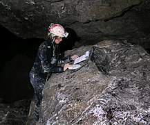 Relevé dans la grotte des Chamois, Castellet-lès-Sausses, Alpes-de-Haute-Provence.