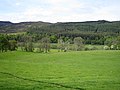 Coquetdale near Low Alwinton looking south from the bridleway – in background Harbottle Woods and the Harbottle Hills (left)