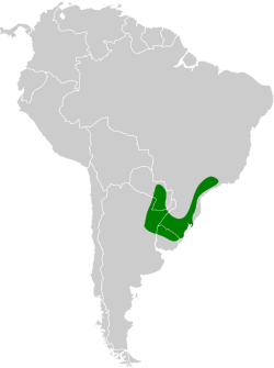 Distribución geográfica del coludo chico.