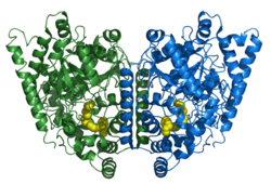 Fettsäureamid-Hydrolase