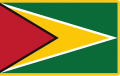 Guyana Guyanská vlajka