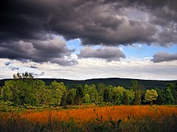 Sandyston Township in May 2007