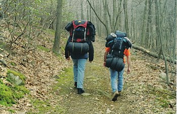 English: Two campers with gear hiking through ...