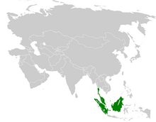 Iole olivacea distribution map.png