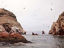 バジェスタス島